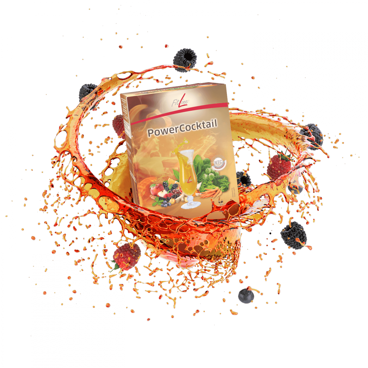 FitLine PowerCocktail